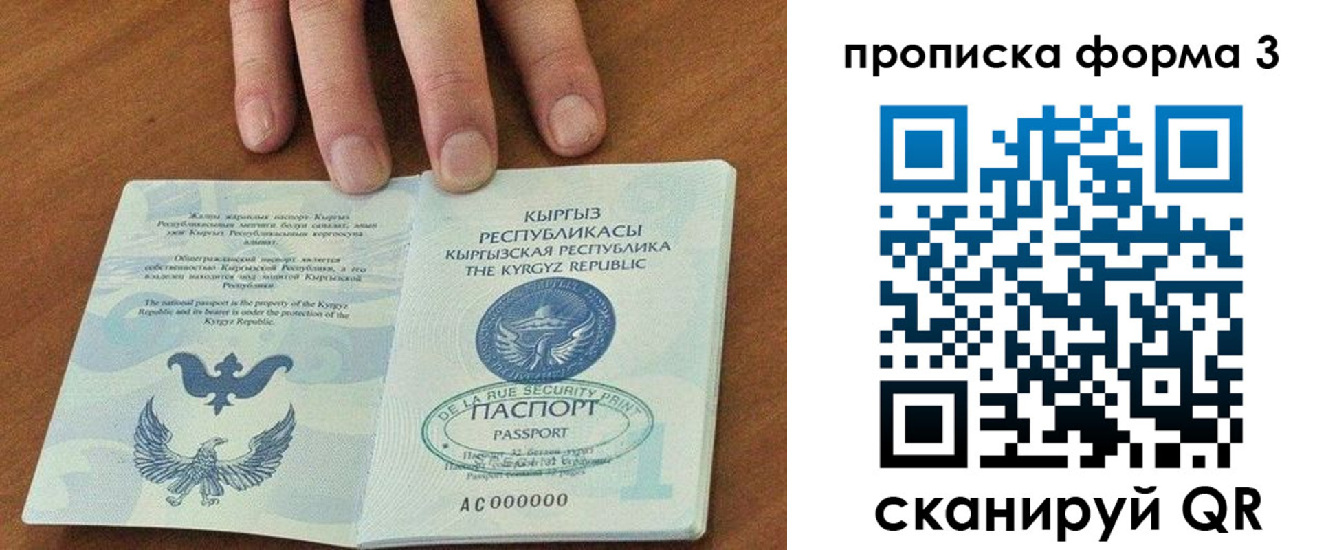 прописка 2025 в Сальске